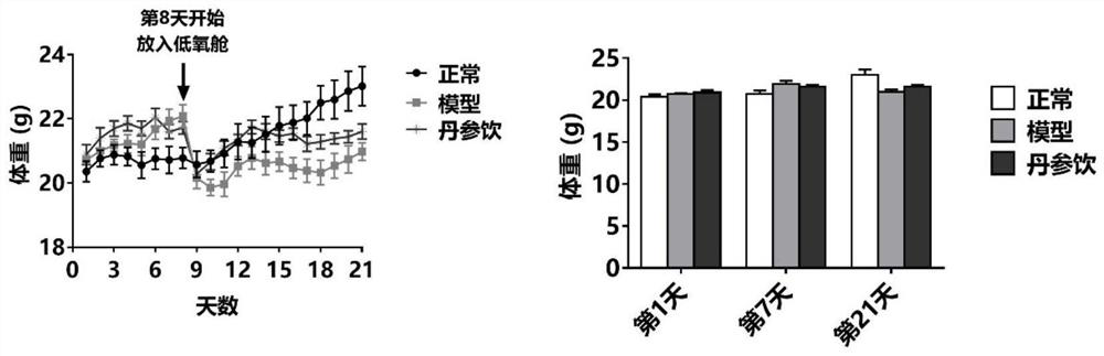 Salvia miltiorrhiza potion compound extract with effect of preventing and treating pulmonary arterial hypertension and complications thereof and preparation method of salvia miltiorrhiza potion compound extract