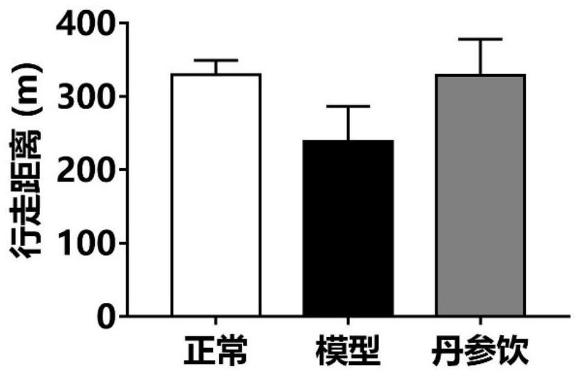 Salvia miltiorrhiza potion compound extract with effect of preventing and treating pulmonary arterial hypertension and complications thereof and preparation method of salvia miltiorrhiza potion compound extract