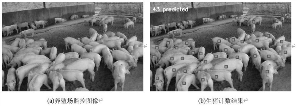 Live pig counting method based on instance segmentation