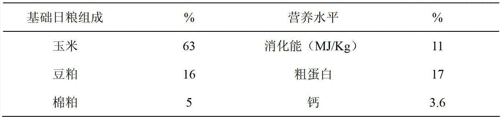 Composite microecological feed additive capable of improving producing capability of broiler chicken egg breed chicken