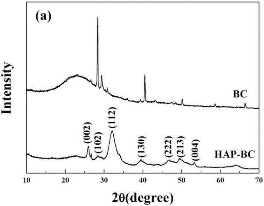 Preparing method of charcoal-hydroxyapatite nanocomposite material