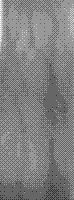 Finger vein line restoration method based on gray scale neighbor and variance constraint