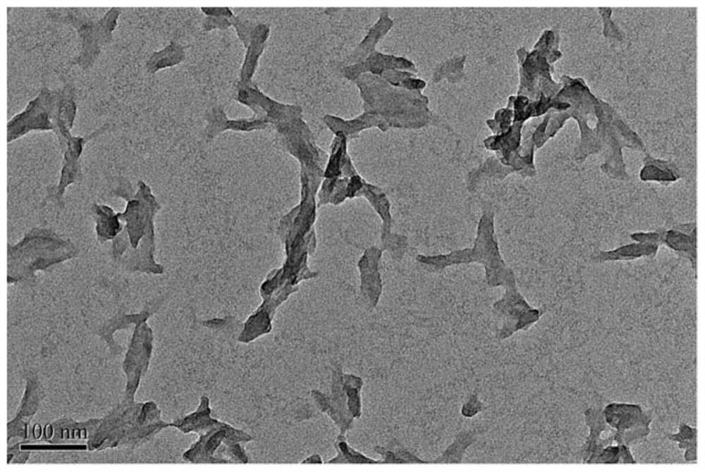 Bovine serum albumin modified protoporphyrin/trimanganese tetroxide /carbon oxynitride nano composite material as well as preparation and application thereof