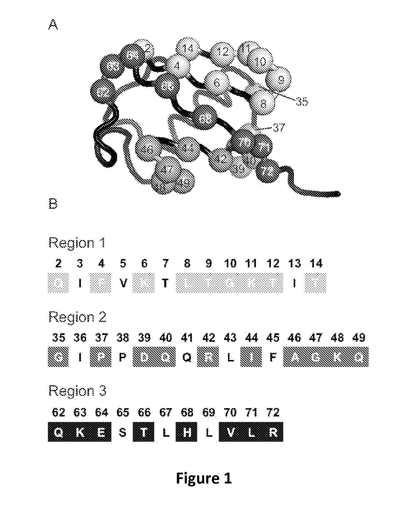 Specific active site inhibitors of enzymes and methods of producing same