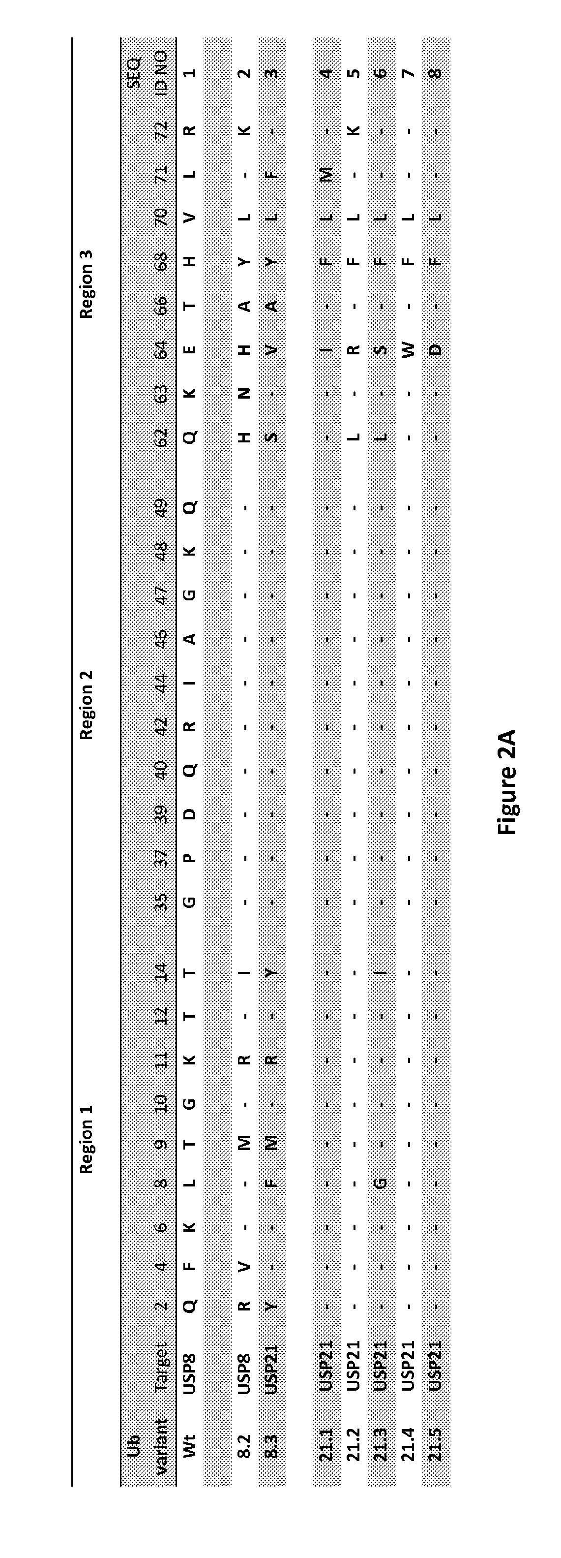 Specific active site inhibitors of enzymes and methods of producing same