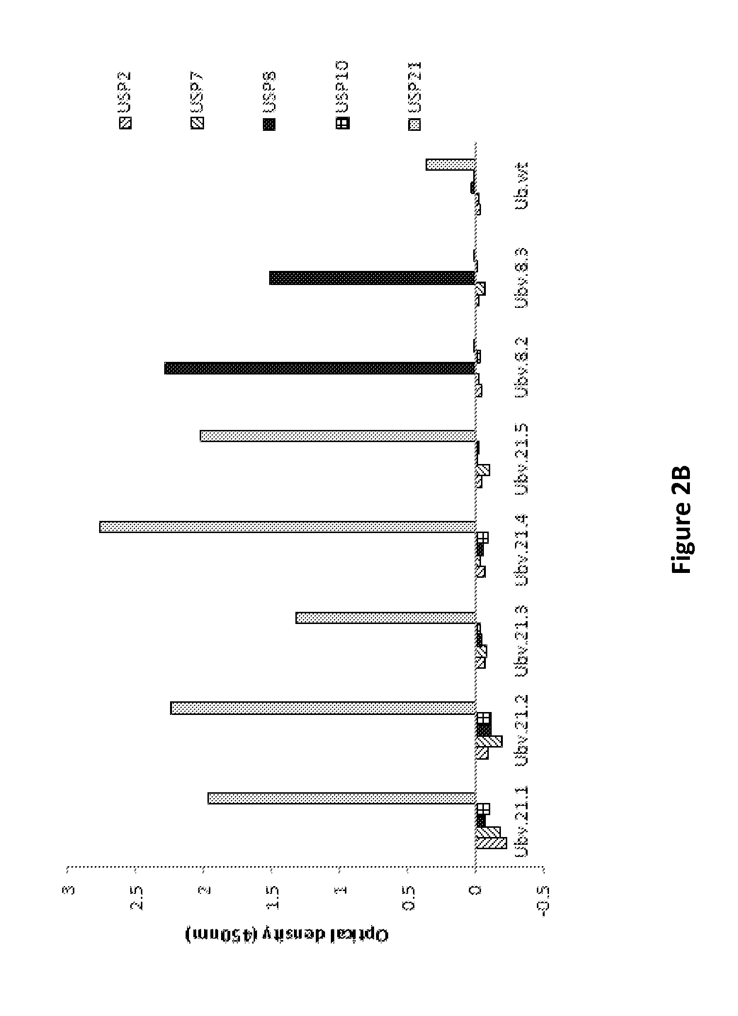 Specific active site inhibitors of enzymes and methods of producing same