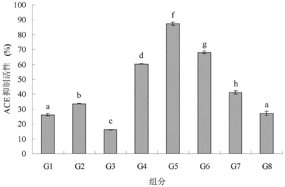 Gingko protein-derived ACE inhibitory peptide composition as well as preparation method and application thereof