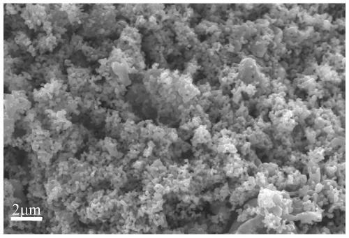 Titanium carbonitride powder and method for preparing titanium carbonitride from hydrolyzable titanium source