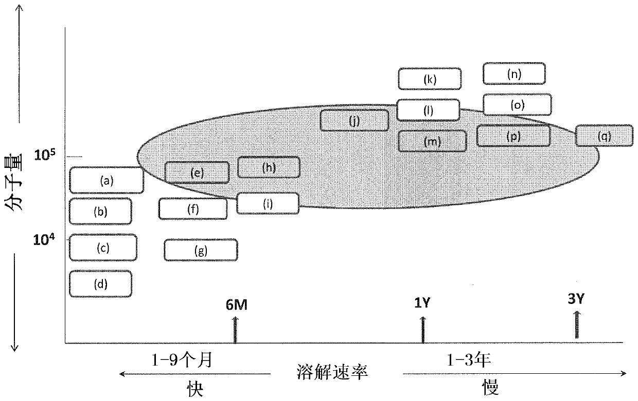 drug eluting stent