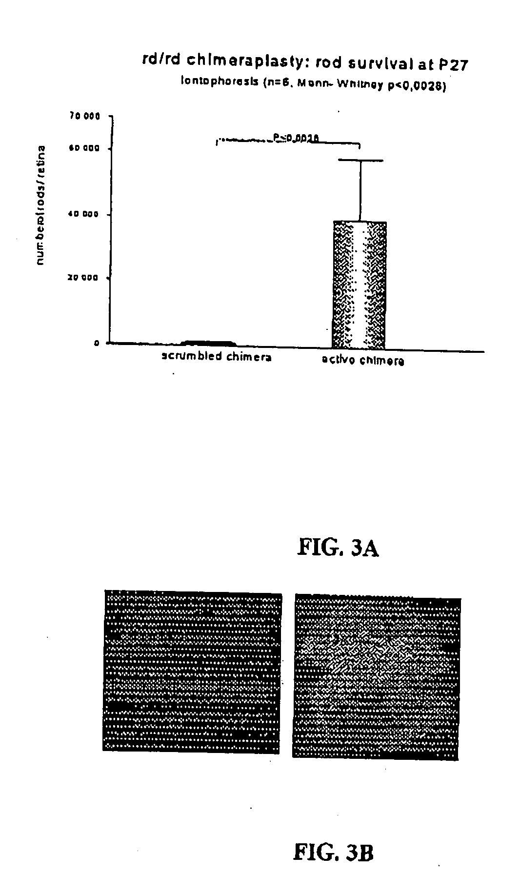 Gene therapy with chimeric oligonucleotides delivered by a method comprising a step of iontophoresis