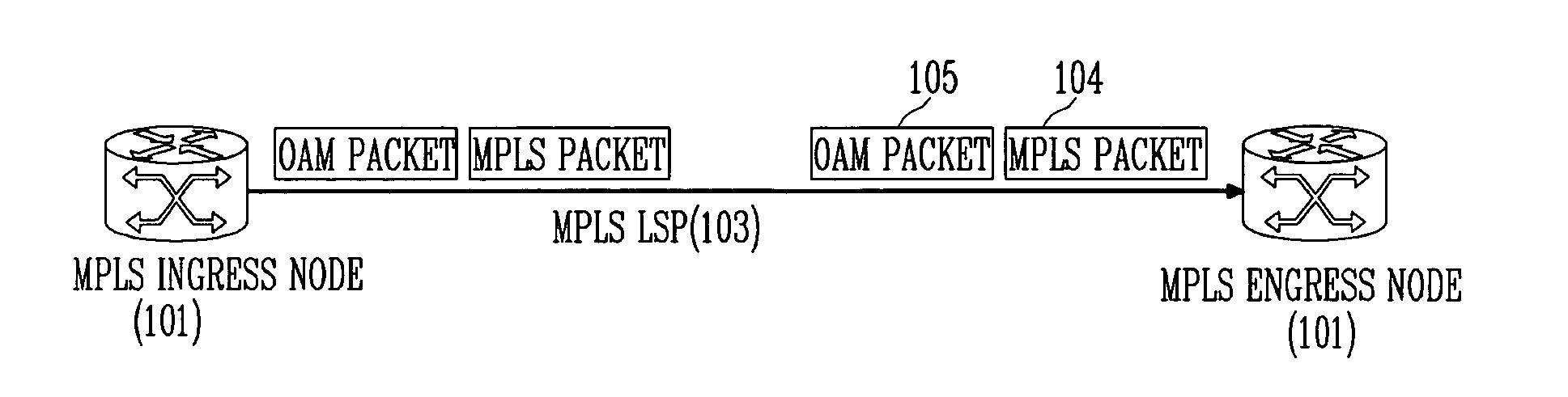 Method for measuring performance of MPLS LSP