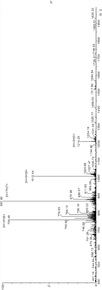 GnRH antigen and application thereof in active immunization affecting castration effect and meat quality of oxen