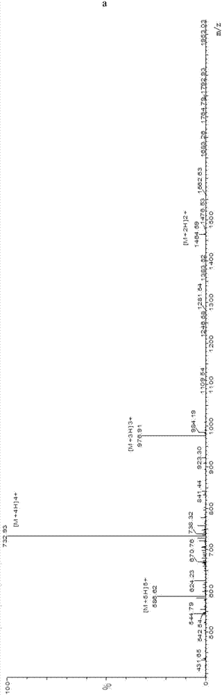 GnRH antigen and application thereof in active immunization affecting castration effect and meat quality of oxen