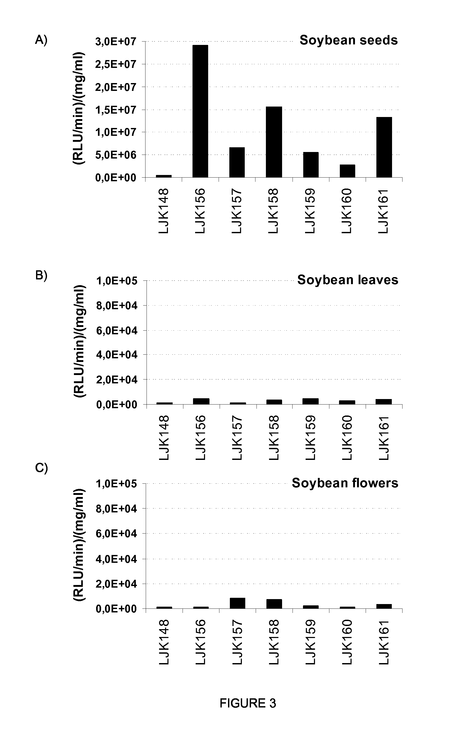 Regulatory nucleic acid molecules for enhancing seed-specific and/or seed-preferential gene expression in plants