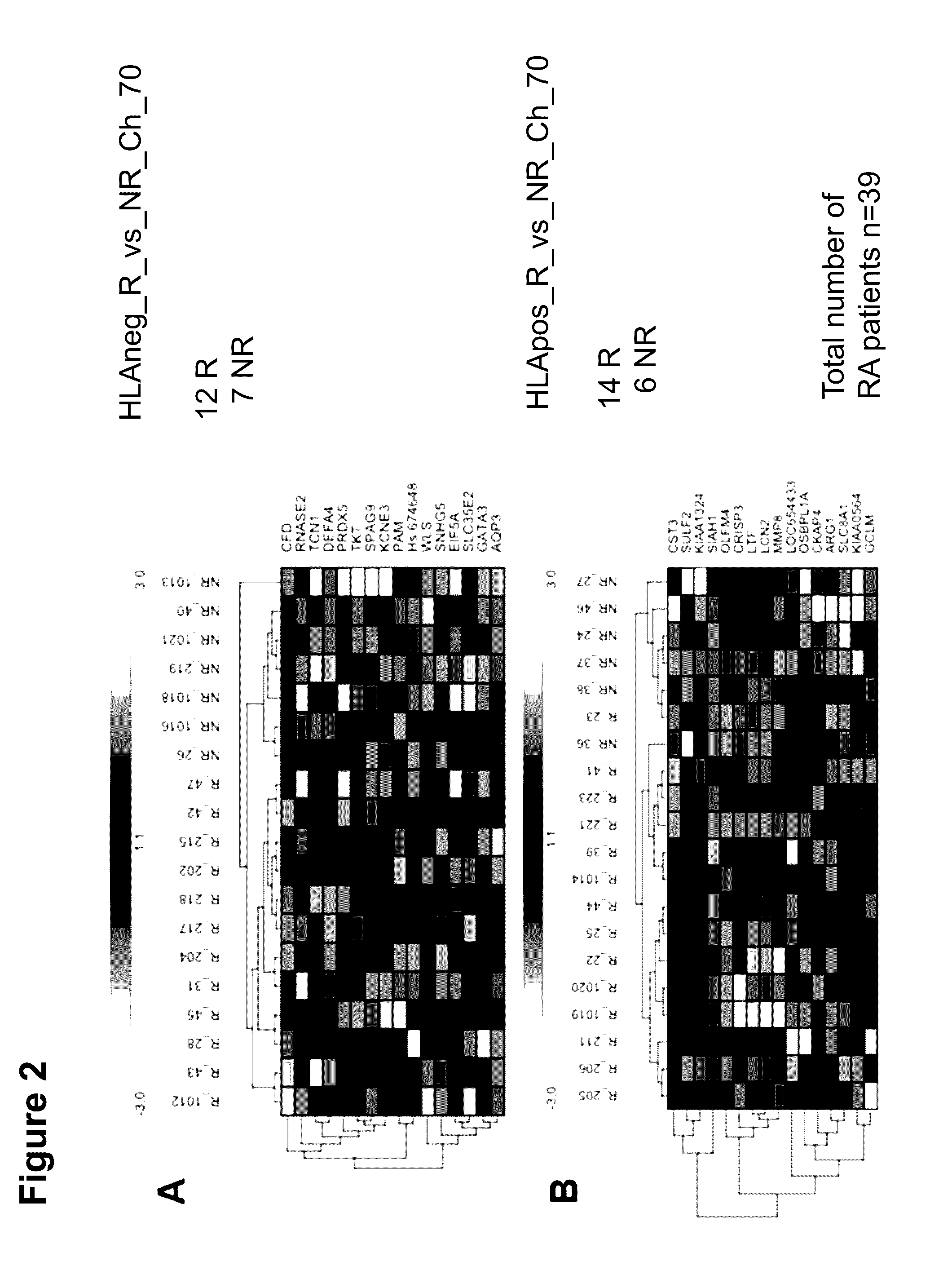 Predictive mRNA Biomarkers for the Prediction of the Treatment with Methotrexate (MTX)