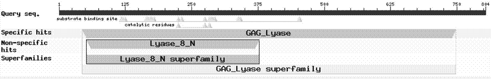Microbacterium, broad spectrum glycosaminoglycan lyase expressed by microbacterium, and coding gene and applications of broad spectrum glycosaminoglycan lyase