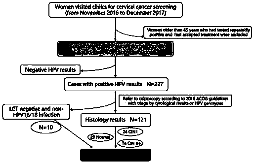 Marker (TP63) for predicting occurrence of cervical lesions of HPV (human papilloma virus)-positive patients