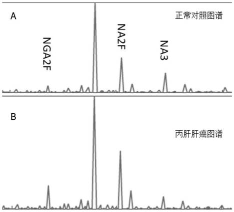 Hepatitis C liver cancer detection reagent and application thereof in hepatitis C liver cancer detection