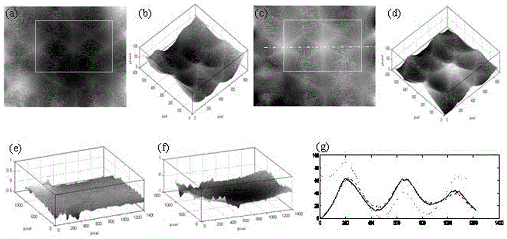 A transverse shearing digital holography method that can eliminate optical field distortion