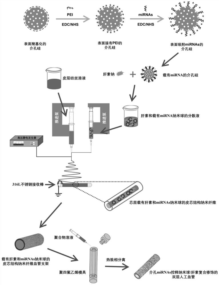 A double-layer artificial blood vessel and its preparation method