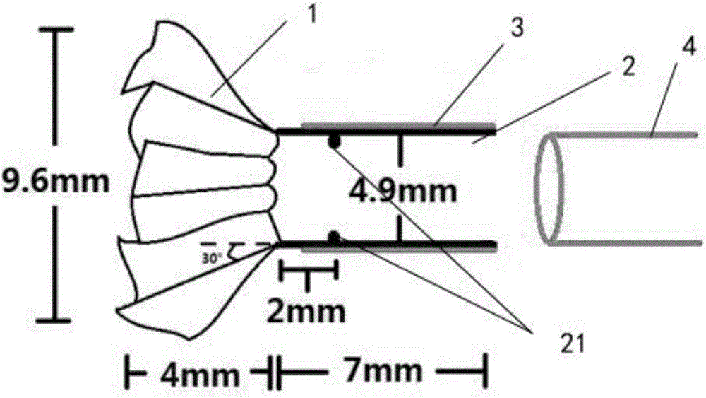 Auxiliary device for removing biliary calculi through negative pressure suction