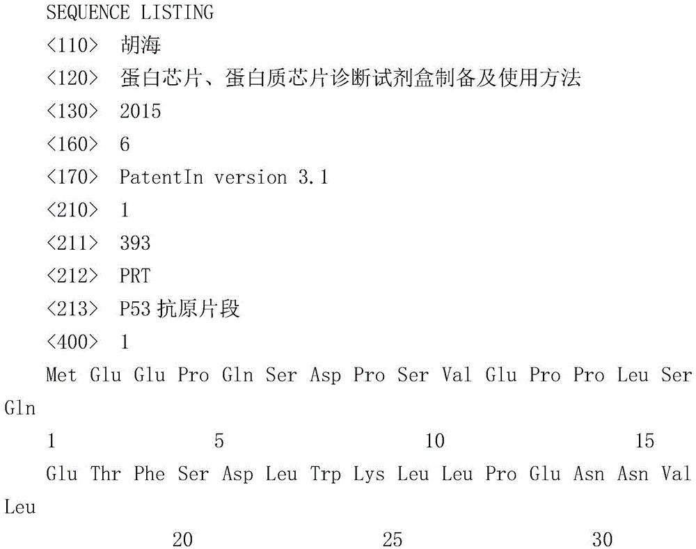 Protein chip, protein chip diagnostic kit, preparation method and using method