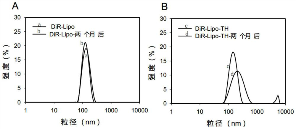 Switch type liposome nano fluorescent probe as well as preparation method and application thereof