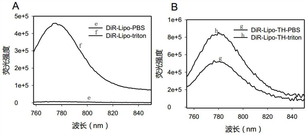 Switch type liposome nano fluorescent probe as well as preparation method and application thereof