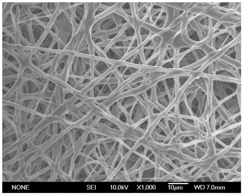 Bioactive hollow nano-fibers and hollow microcapsules for efficiently catalyzing conversion of CO2 into methanol