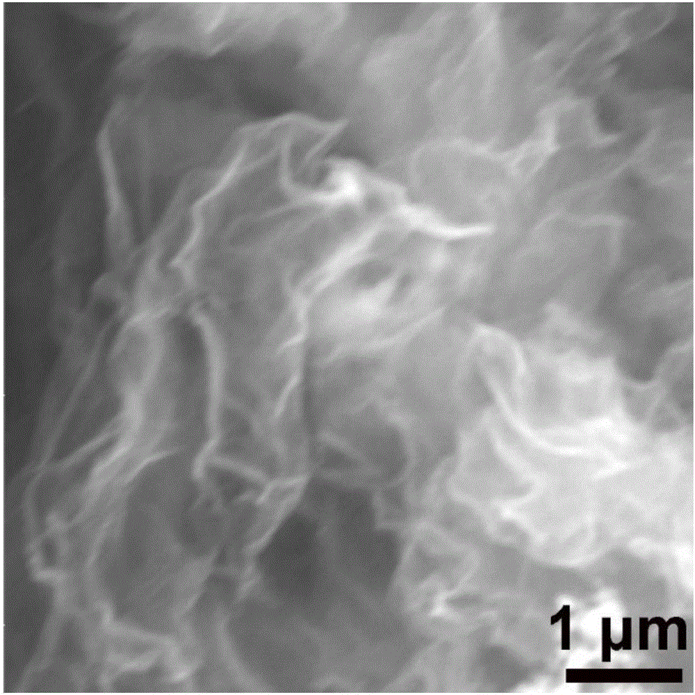 Preparation method for metal nanoparticle-loaded nitrogen-doped porous graphene