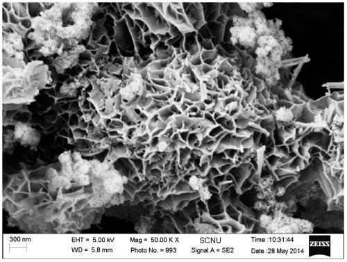 Preparation method of honeycomb structure silicon-cobalt tetraoxide composite