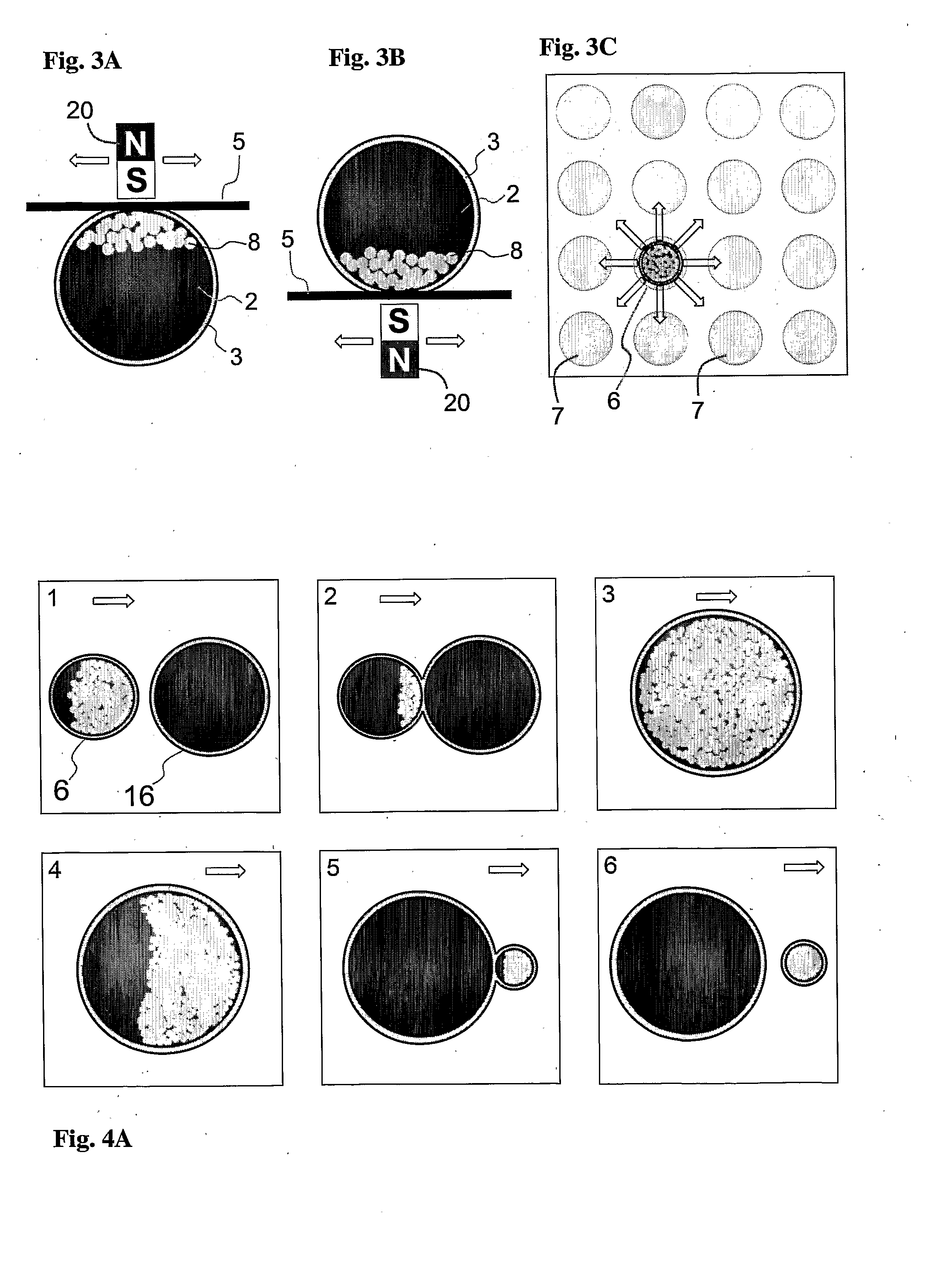 Method of processing a biological and/or chemical sample