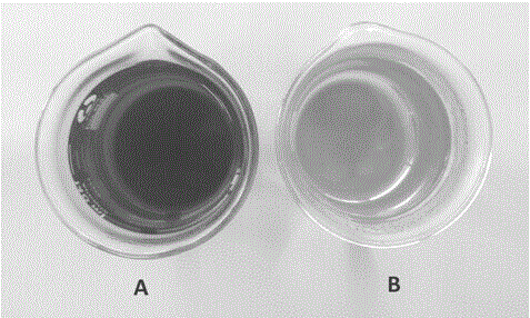 Nanofiltration membrane separation preparation method of cosmetic grade pueraria isoflavones