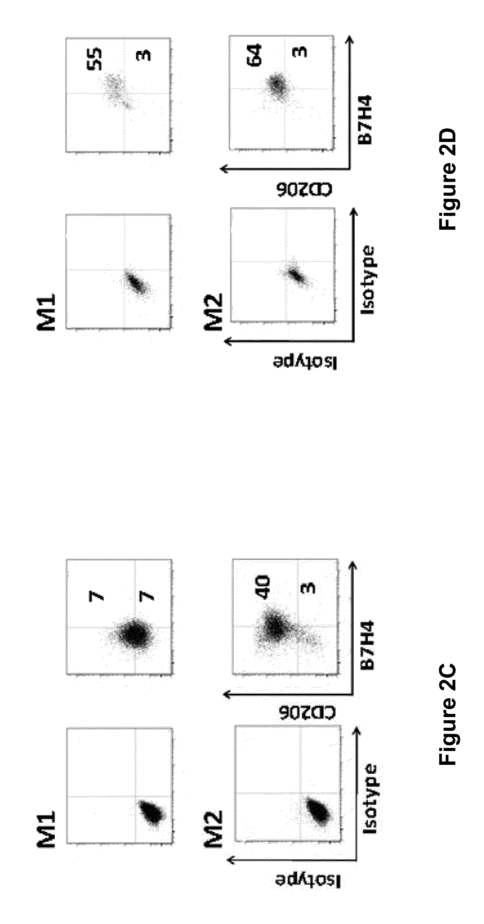 Isolated b7-h4 specific compositions and methods of use thereof