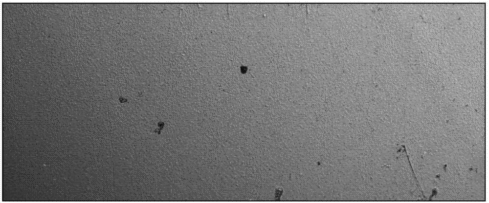 Surface defect detection method of robust based on machine vision