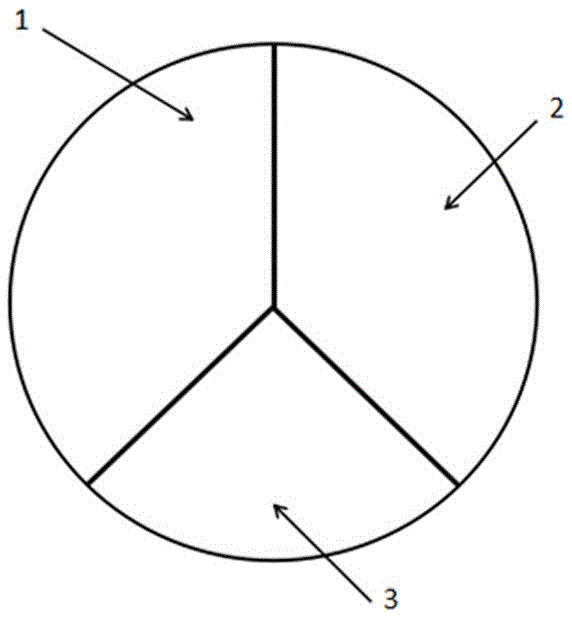 Total reflection type fluorescent wheel projection device and projection method