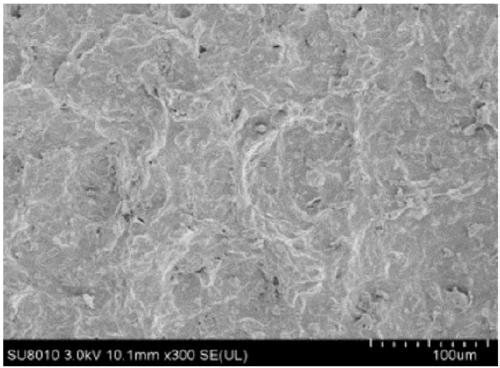 A kind of unsupported activated carbon full carbon film and its preparation method and application