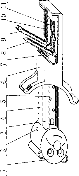 Umbilical cord-clamping cutter with birth time display