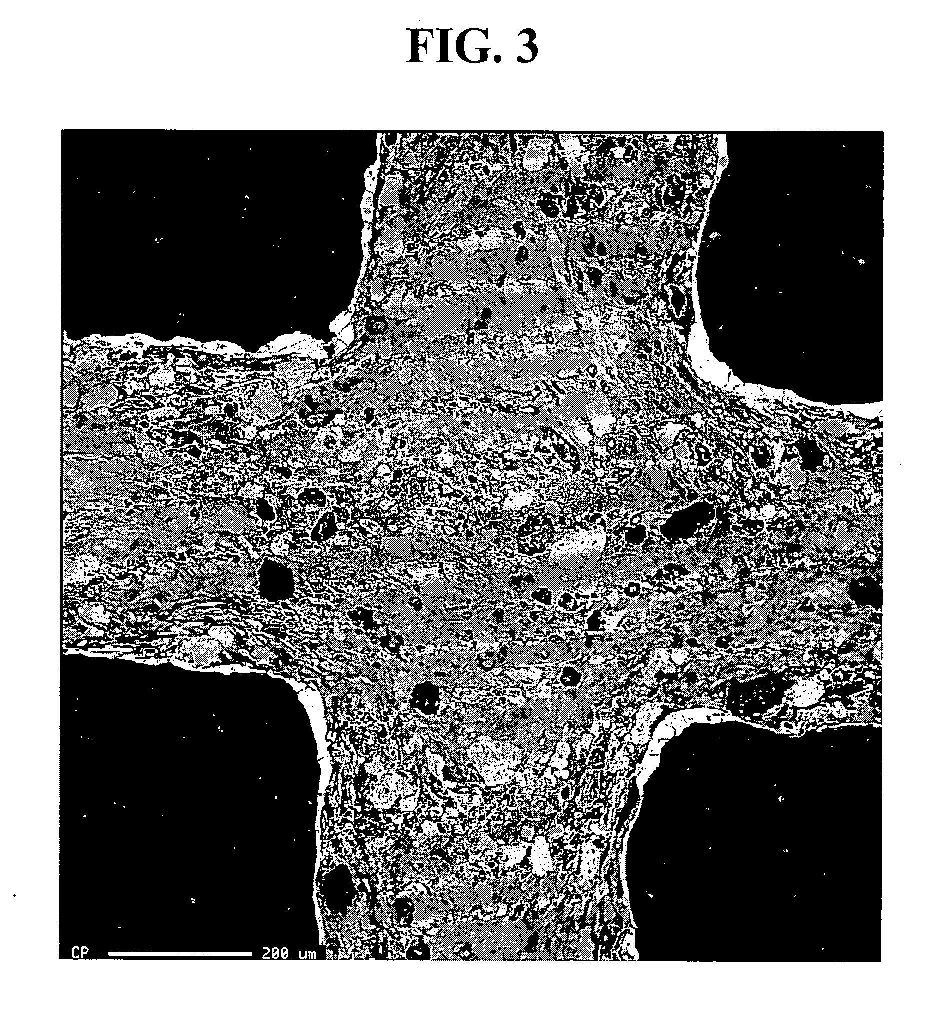 Sorbent comprising activated carbon, process for making same and use thereof