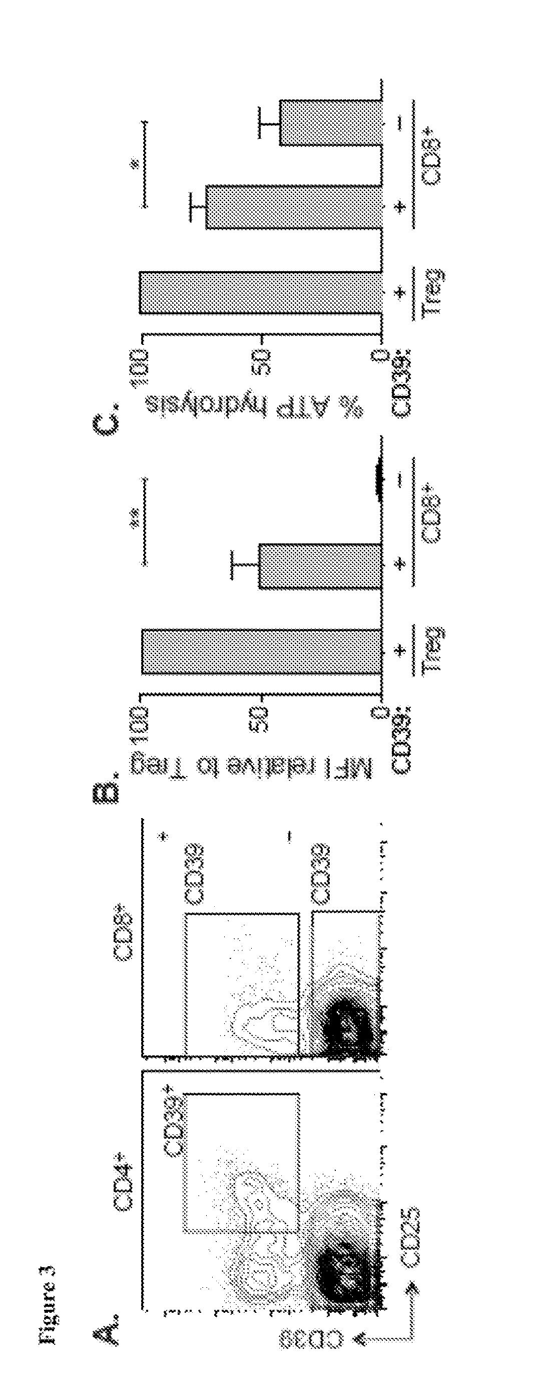 Compositions and methods for identification, assessment, prevention, and treatment of t-cell exhaustion using cd39 biomarkers and modulators