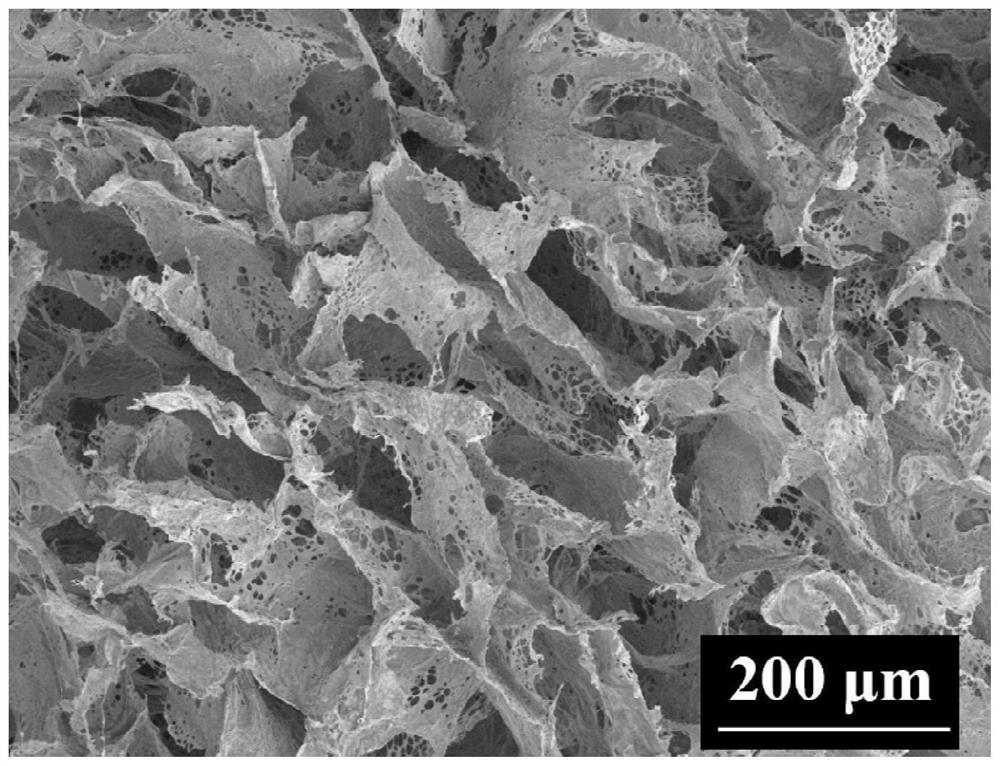 A kind of nanocellulose/sodium alginate cryogel and its preparation method and application