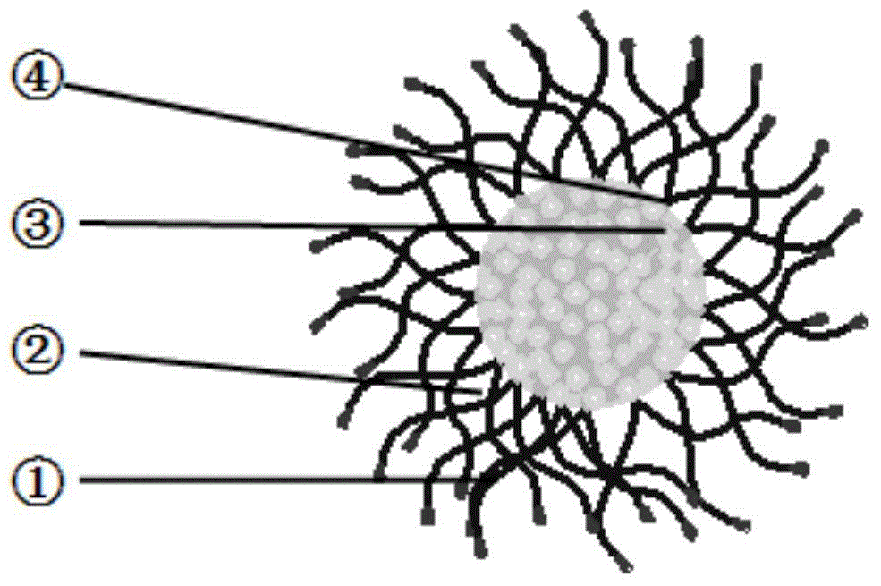 Targeted amphipathic nano-drug microcapsule