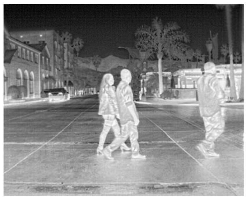 A Pedestrian Detection Method Based on Thermal Imaging Background Filtering