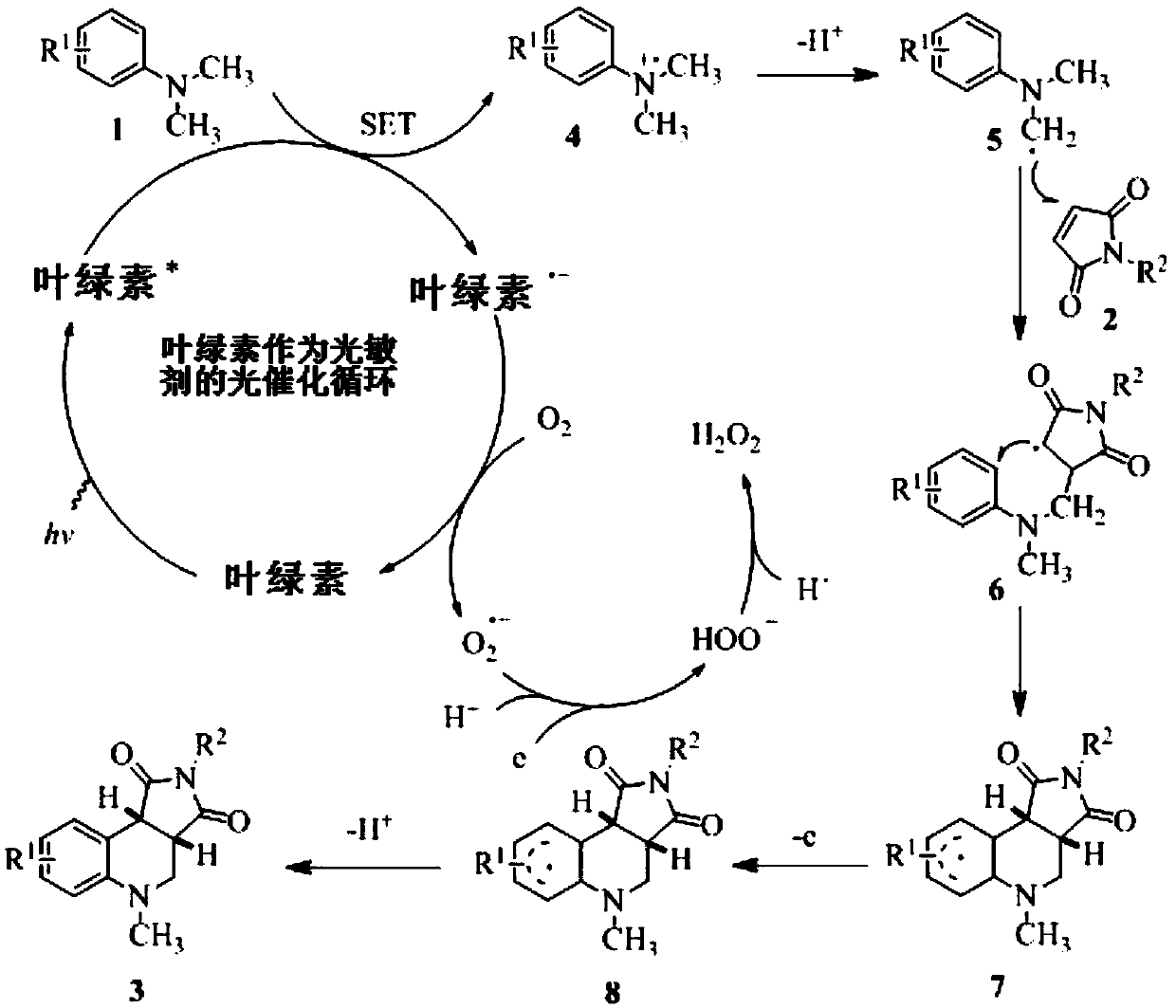 Application of chlorophyll as a photosensitizer in the synthesis of tetrahydroquinoline derivatives by visible light-catalyzed cyclization reaction