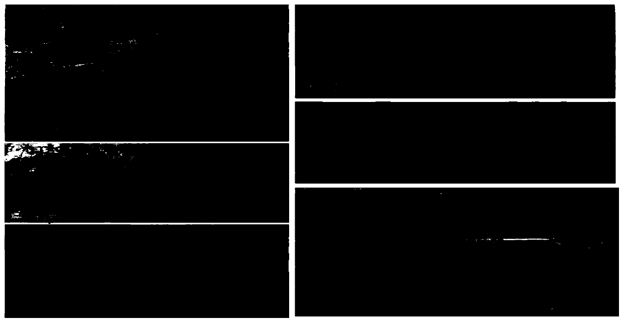 Method for promoting phytoremediation of heavy-metal-contaminated soil in mining area