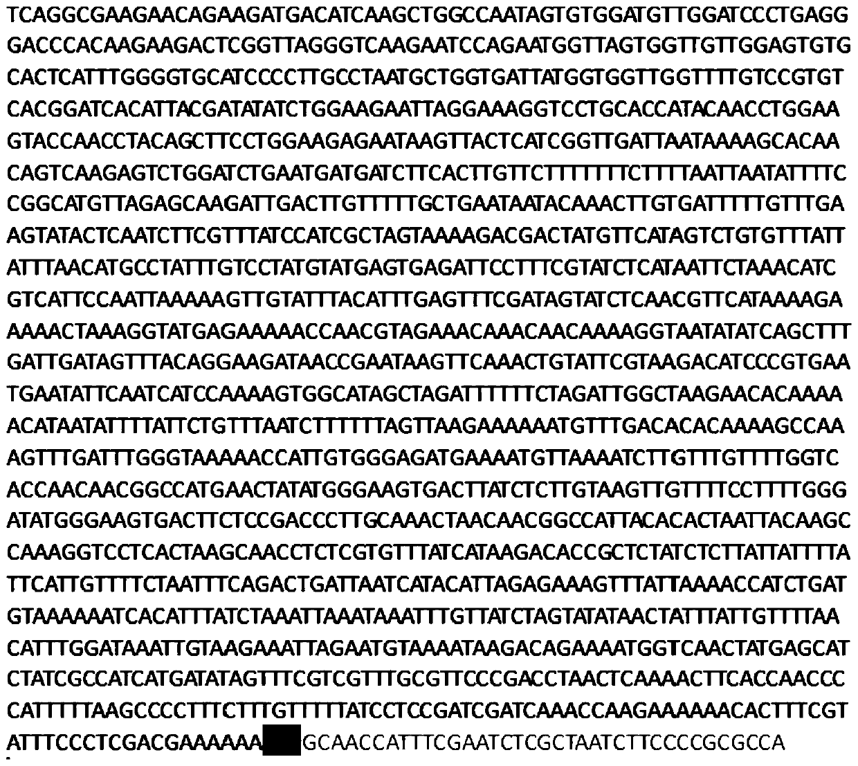 A gsm2 promoter whose expression is induced by the addition of exogenous sugar