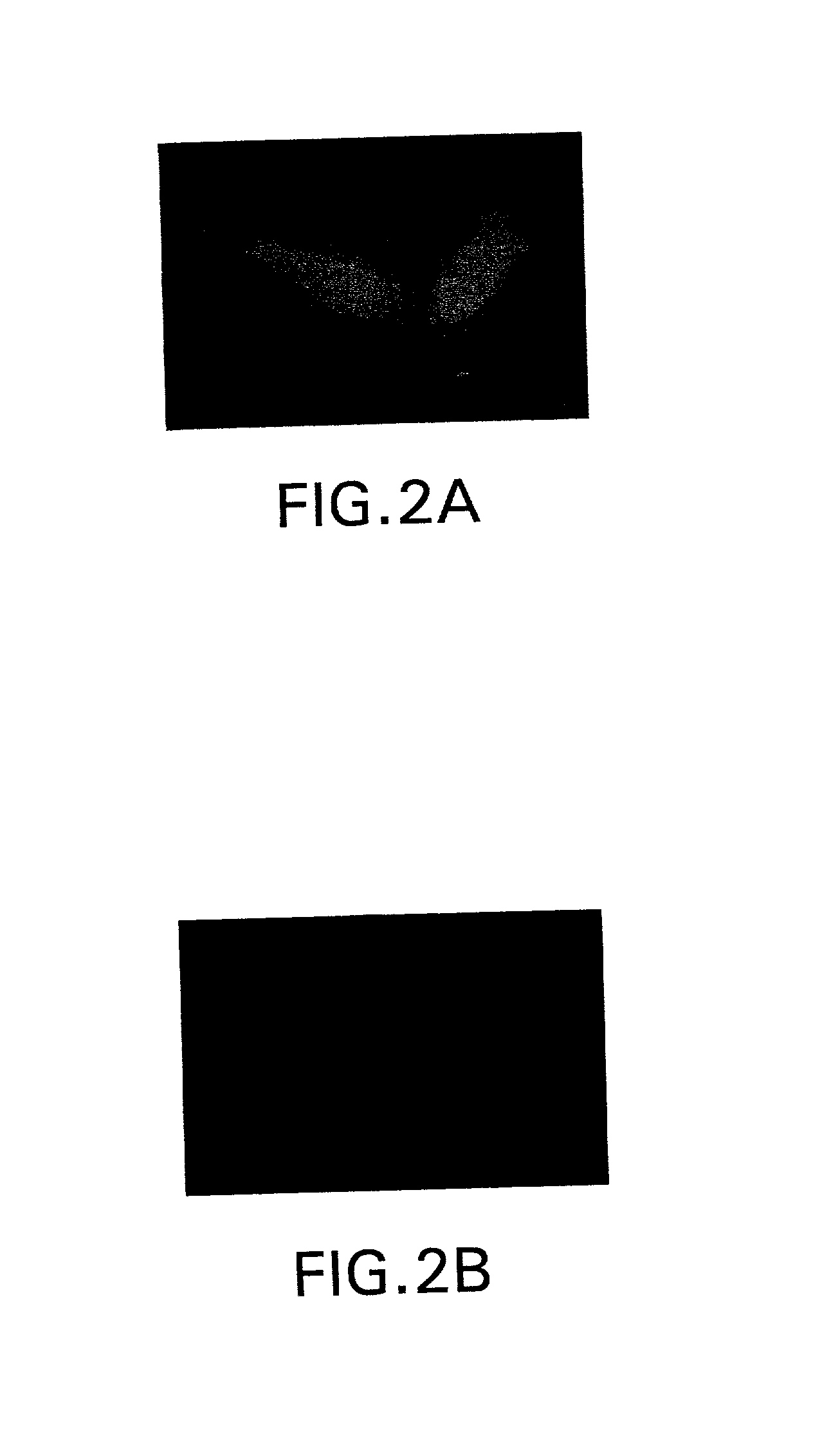 Compositions and methods for delivery of an agent using attenuated Salmonella containing phage