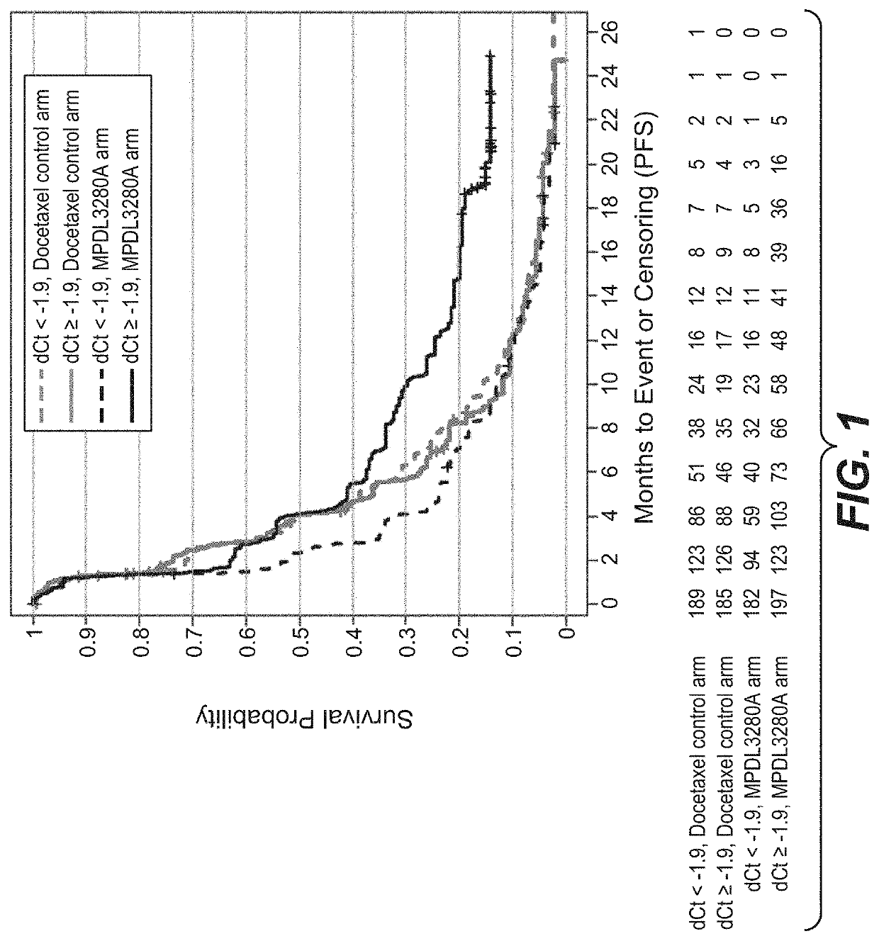 Diagnostic and therapeutic methods for cancer