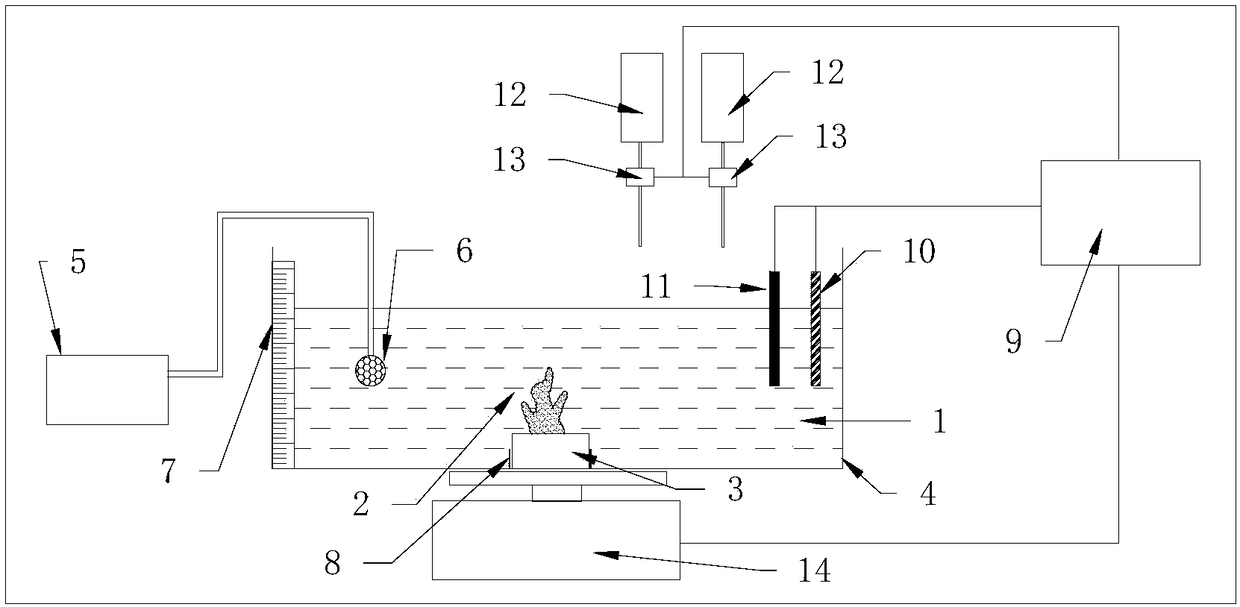 Method and device for synthesizing stalactite and stalagmite through microorganisms