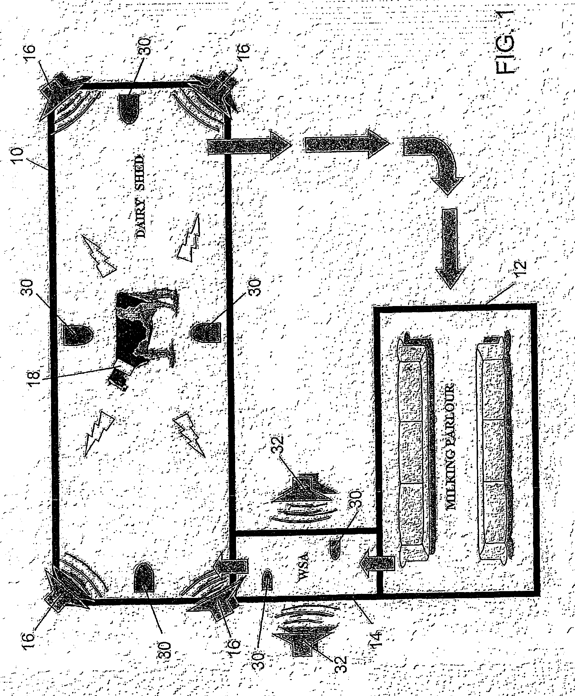 Animal monitoring system and method